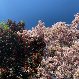 Meet your Posher, Becky